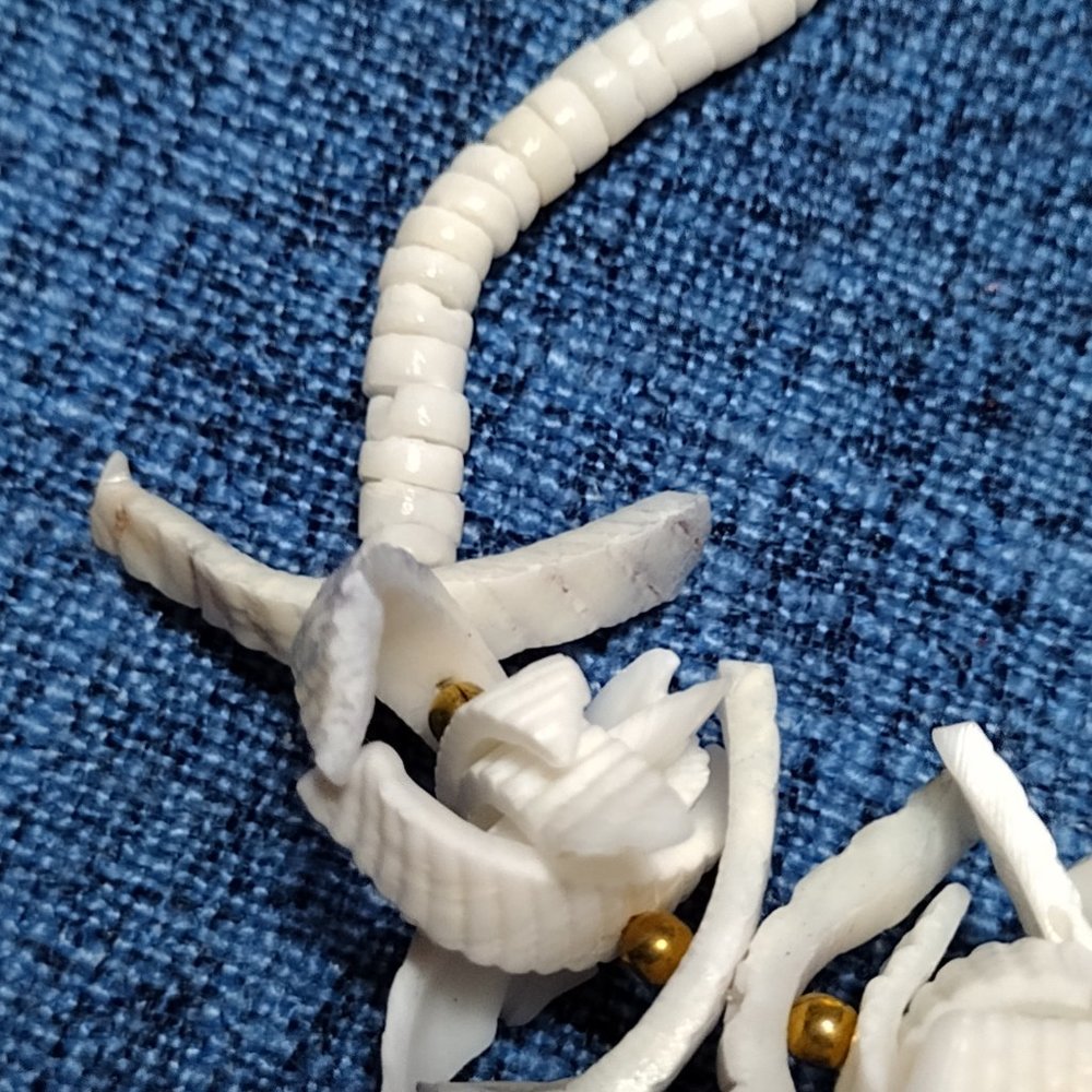 Shell Bracelet (6L) - Picture 3 of 5